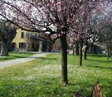Scarzara Bed & Breakfast | R&B Albero Cavo Parma