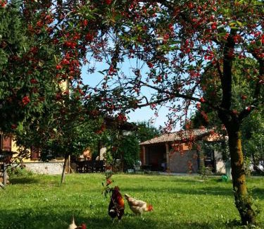 Scarzara Bed & Breakfast | R&B Albero Cavo Parma