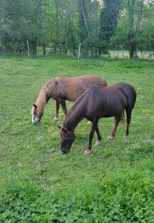 La Rochebeaucourt-et-Argentine Resort | Raisin et Toile - French American Retreat