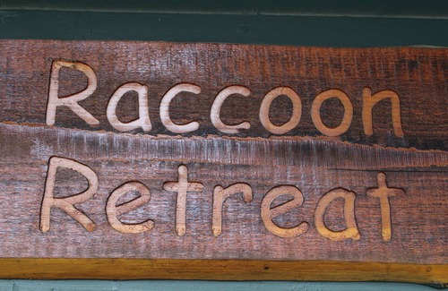 Chestertown Cabin | Raccoon Retreat, 2 Bedroom 1 Bath Cabin, Sleeps Up to 6 People