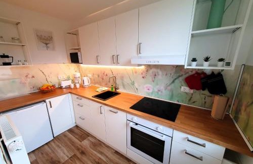 Schwerin Apartment | radfreundliches Wohlfühl-Apartment mit Terrasse und Parkplatz - FeWo Woody