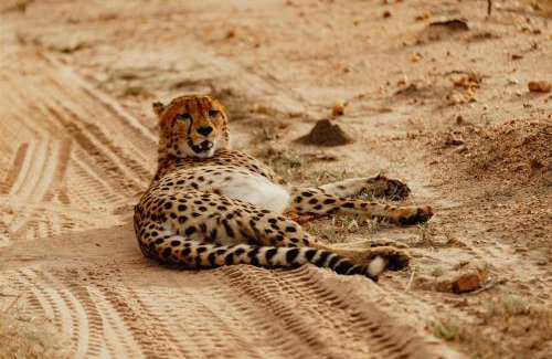Hoedspruit Hotel | Radisson Safari Hotel Hoedspruit
