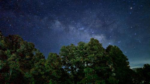 Ani Other | Raghupur adventure camp