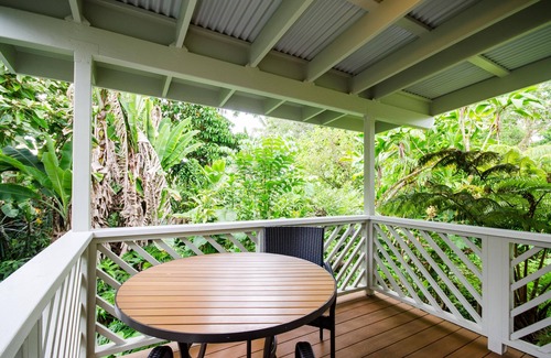 Hilo Apartment | Rain Forest Hideaway-Cozy, Private & Beautiful Studio in Hilo Beach Neighborhood