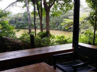 Nasinu Resort | Rainforest Eco Lodge