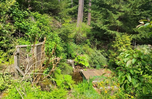 Bowen Island Apartment | Rainforest Retreat · Relaxing 1 bdr + den rainforest retreat with patio