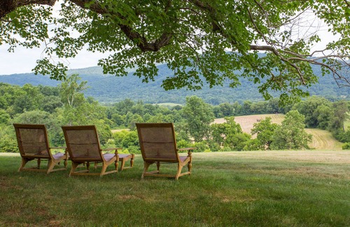 Greenwood Cottage | Ramsay Estate Cottage – Luxury Vineyard Retreat with Mountain Views