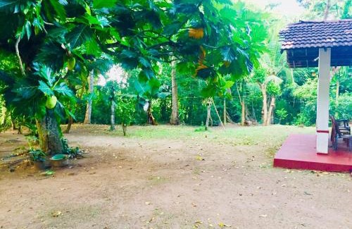 Tangalle House | Rani Home Stay