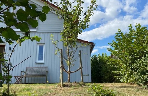 Kosel House | Rapsblütenhaus in Bohnert