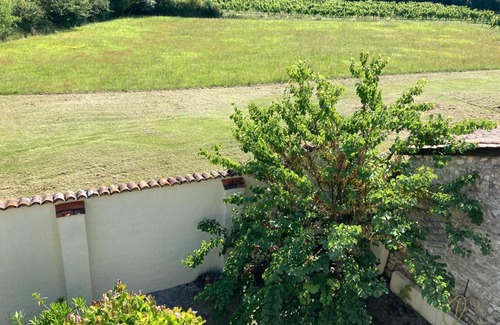 Thenac Villa | RARE EXCLUSIVITE La Villa Fongrivoise Grande Piscine avec terrasse 5 chambres et salle de bain WC privatifs Patio Cheminée sans Vis à Vis