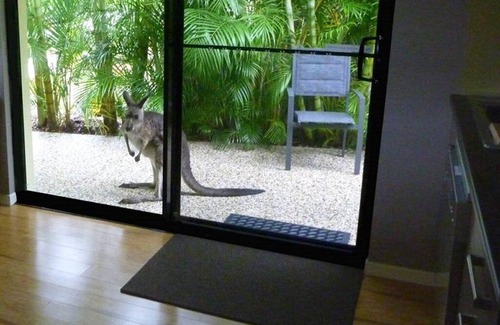 Woolgoolga Apartment | Rare Find - Absolute Waterfront Property
