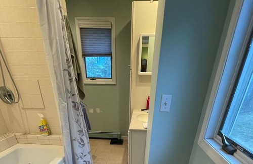 Cheboygan County Cottage | Rare Find - Burt Lake home with sunset views