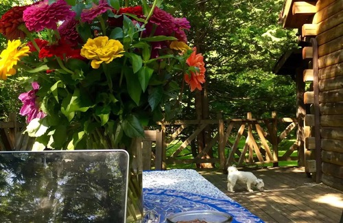 Baptistown Cabin | Rare private cabin retreat surrounded by 1700 acres of woods, yet close to town.