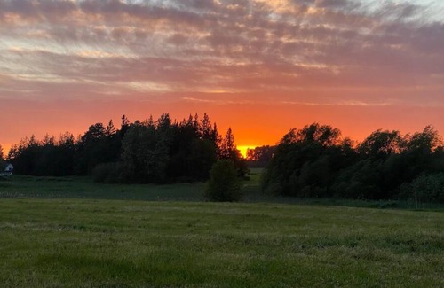 Ferndale RV Rental | Ravens’ pad campsite at June Bud Farms