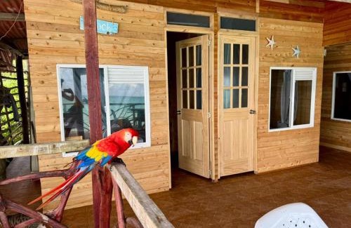 Bocachica House | Raw KokoMar PosadaNativa