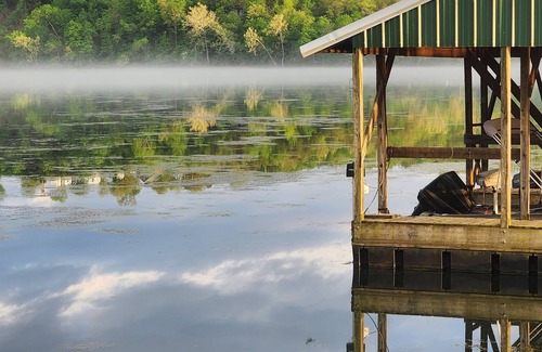 Branson Cabin | Real Log Cabin On Lake Taneycomo w/ Boat Slip