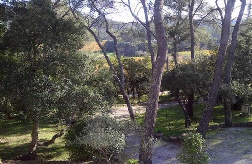 Cuers House | Real Provencal farmhouse in the heart of the Var - Pool & Tennis