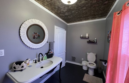Snover Other | Recently Remodeled Cozy Farmhouse located in Marlette