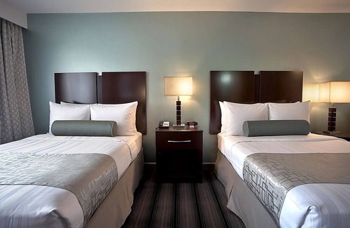 Downtown Chicago Hotel | Recharge & Relax! Three Comfortable Units for Group Travel Near Willis Tower