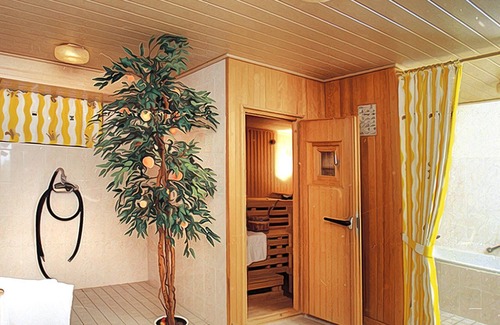 Steina Apartment | Recharge your batteries in the middle of the nature of the Harz Mountains