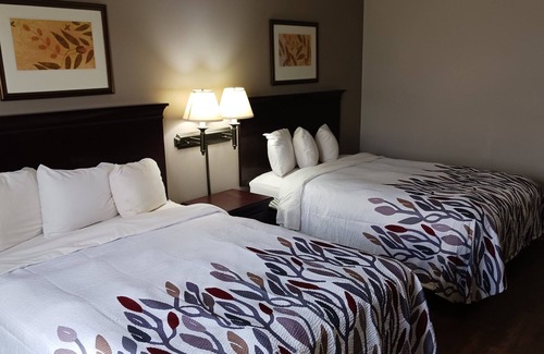 Midland Hotel | Red Roof Inn & Suites Midland