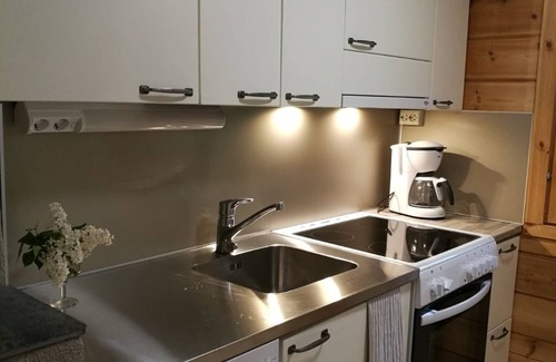 Hiukkajoki House | Red vacation home