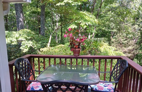 Gerton Cottage | Redbird Cottage in Gerton, NC