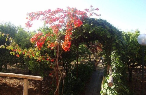 Sant'Andrea Bonagia Villa | refuge of the rooster- in the green near the sea