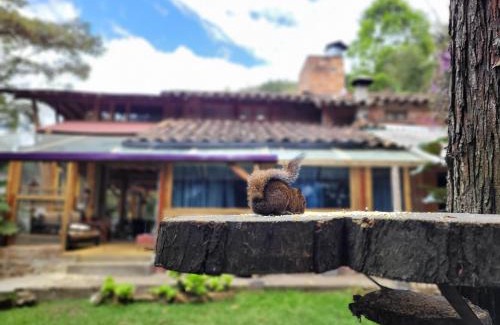 Envigado House | Refugio en el Bosque