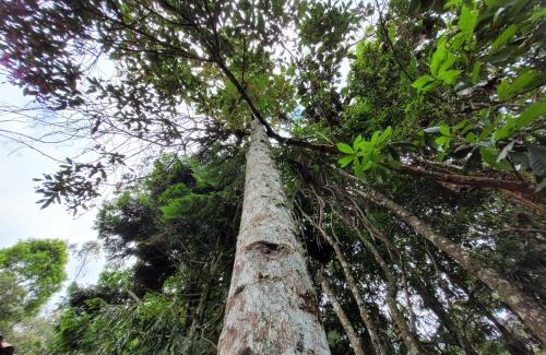 Envigado House | Refugio en el Bosque