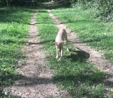 Lembras Bed & Breakfast | Relais du caudeau