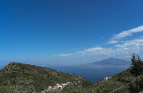 Meta Hotel | Relais Villa Giusso