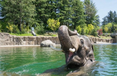Tigard House | Relax and Recharge! 4 Great Units, FREE Buffet Breakfast, Free Parking