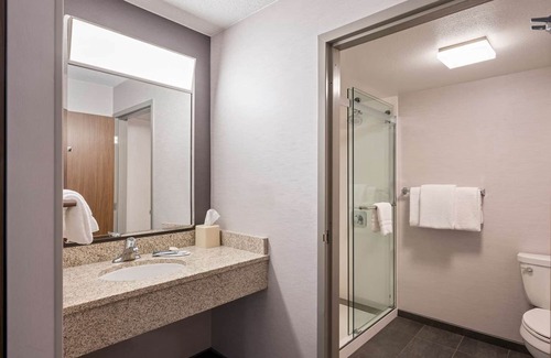 San Ramon Hotel | Relax and Recharge! TWO Classy Units, Swimming Pool, Free Parking, Pets Allowed!