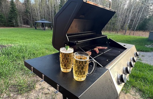 Kearney Cottage | Relax at Cozy Cabin near Algonquin, 2 Bedroom, WIFI, large yard w/firepit