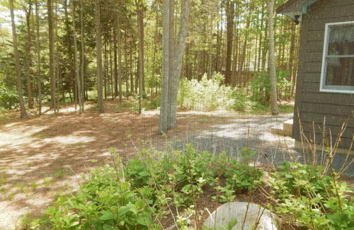 East Boothbay Cottage | Relax & Enjoy Beautiful Views From This Cottage On the Sea