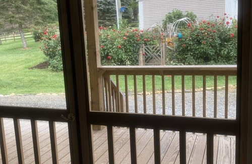 Sparta Apartment | Relax in Shelley's Glen Guesthouse, a peaceful retreat, only 2 miles from town.