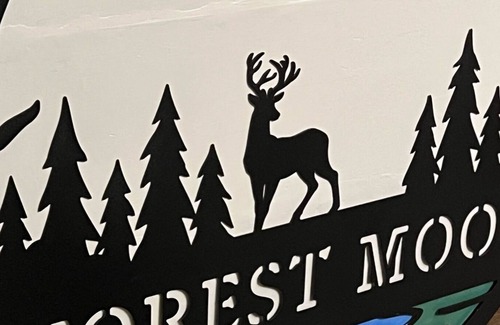 Grayling House | Relax, nature at your door, Best sleep ever in Huron National Forest! Be happy!