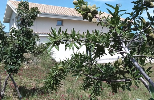 Piana degli Albanesi House | Relax sul Lago di Piana