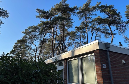 Spier House | Relaxen in Sfeervolle Bungalow Nabij Nationaal Park Dwingelderveld Drenthe