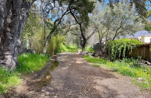 Ojai Apartment | Relaxing Private Studio in an Ojai Cottage with your own outdoor space.