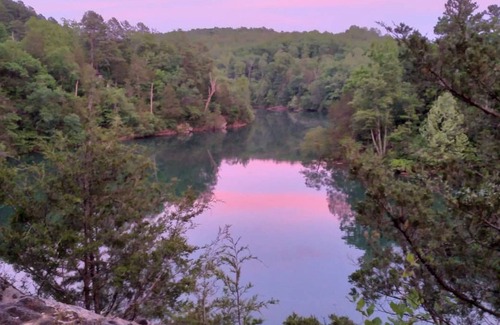 Eureka Springs Cabin | Relaxing & private cabin with lake & waterfall views, firepit, washer/dryer