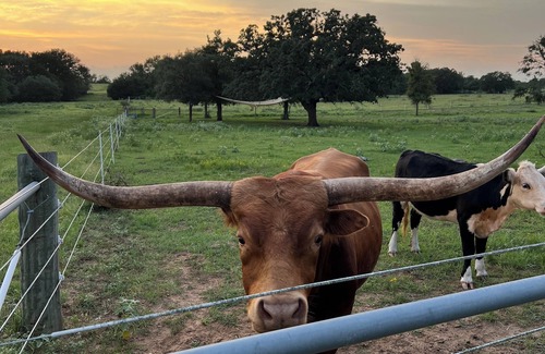 Cedar Creek Cabin | Relaxing stay on a Modern Ranch