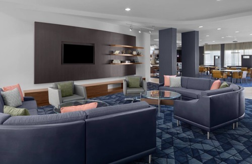 Oldsmar Hotel | Relaxing Stay! Poolside Comfort Near Tampa’s Top Attractions