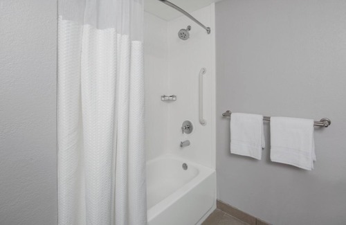 Oldsmar Hotel | Relaxing Stay! Poolside Comfort Near Tampa’s Top Attractions