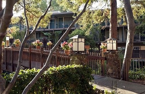 Barron Park Hotel | Relaxing Unit with Outdoor Heated Pool, Free Parking & Breakfast Near Stanford