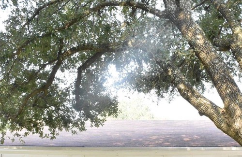 Royse City Cottage | Remodeled 3br/2ba cottage in quiet neighborhood
