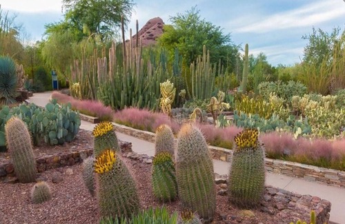 Tempe Apartment | Remodeled Apartment Home in Tempe - 2 Bedrooms
