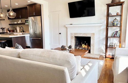 Oak Park House | Remodeled, Downtown, Large Yard/Spa