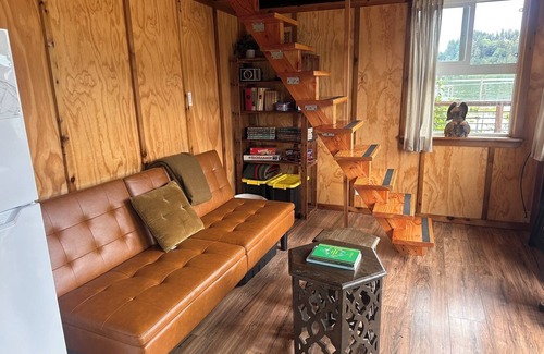 Lakeside Cabin | Remote 1 BR Lakefront Cabin. Features a King loft bed with lake views, private dock, and provided paddleboards/kayaks. Perfect for fishing, stargazing, and quiet nature escapes.